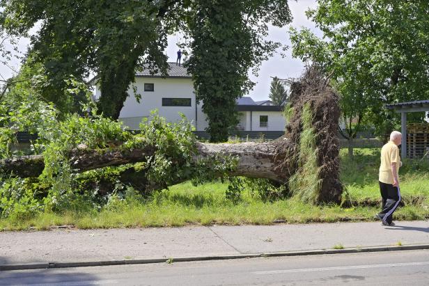 Höchste Warnstufe: Erneut Unwetter in Kärnten erwartet