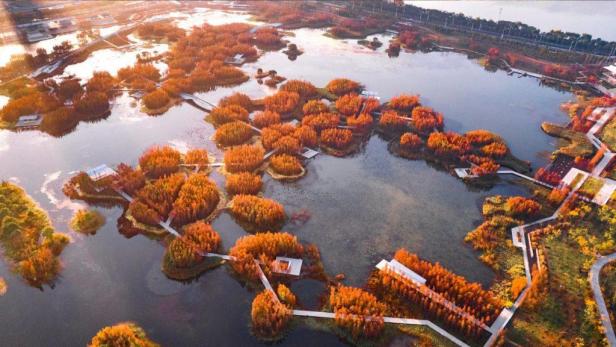 Luftaufnahme des Fish Tail Parks mit herbstlich gefärbten Bäumen und Stegen.