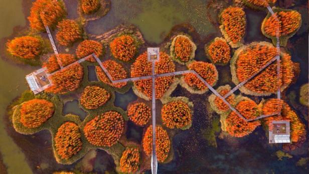 Luftaufnahme eines Parks mit orangefarbenen Bäumen und einem verschlungenen Steg.