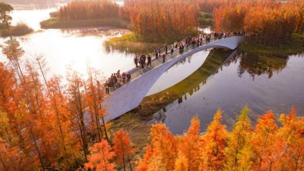 Eine Menschenmenge überquert eine Brücke in einem Park mit herbstlich gefärbten Bäumen.