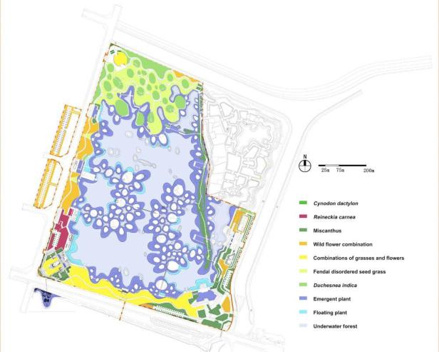 Ein Bepflanzungsplan für den Fish Tail Park mit verschiedenen Pflanzenarten.