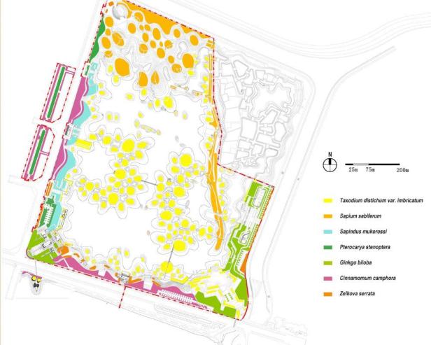 Ein Bepflanzungsplan des Fish Tail Parks mit verschiedenen Baumarten.
