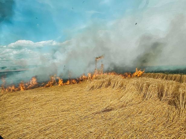 Sechs Hektar Acker bei Großbrand zerstört