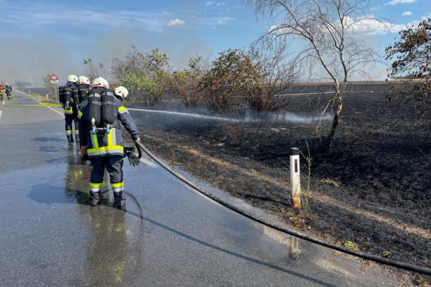 Waldbrand an der Wiener Stadtgrenze kilometerweit sichtbar