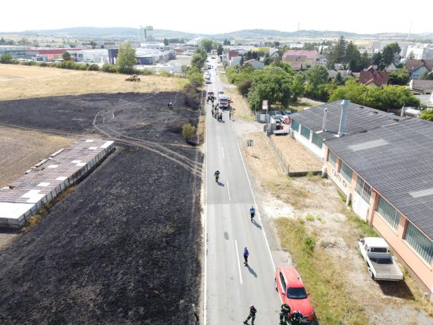 Waldbrand an der Wiener Stadtgrenze kilometerweit sichtbar
