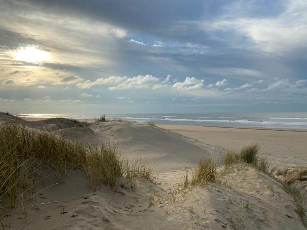 Dünenlandschaft mit Strandhafer unter bewölktem Himmel.