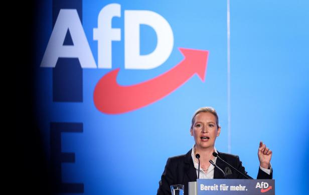 GERMANY-POLITICS-EU-PARTIES-FARRIGHT-AFD