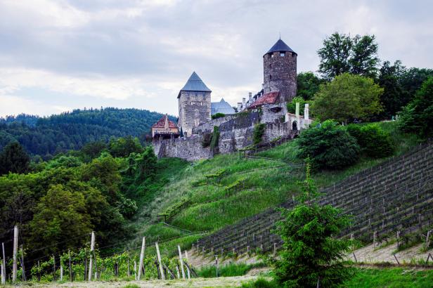 Von der Alm zum Wein: Wandern in der Südsteiermark