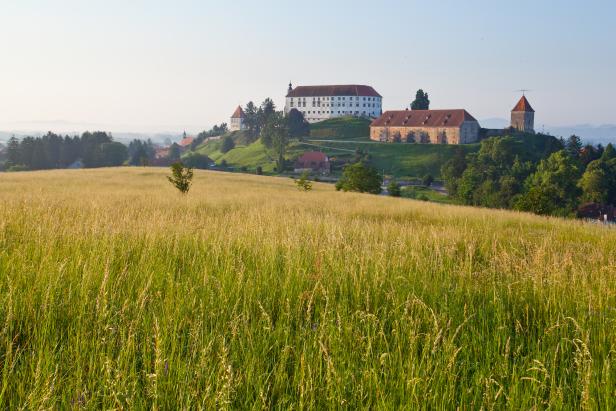 Ein Schloss thront auf einem Hügel, umgeben von einem goldenen Feld.