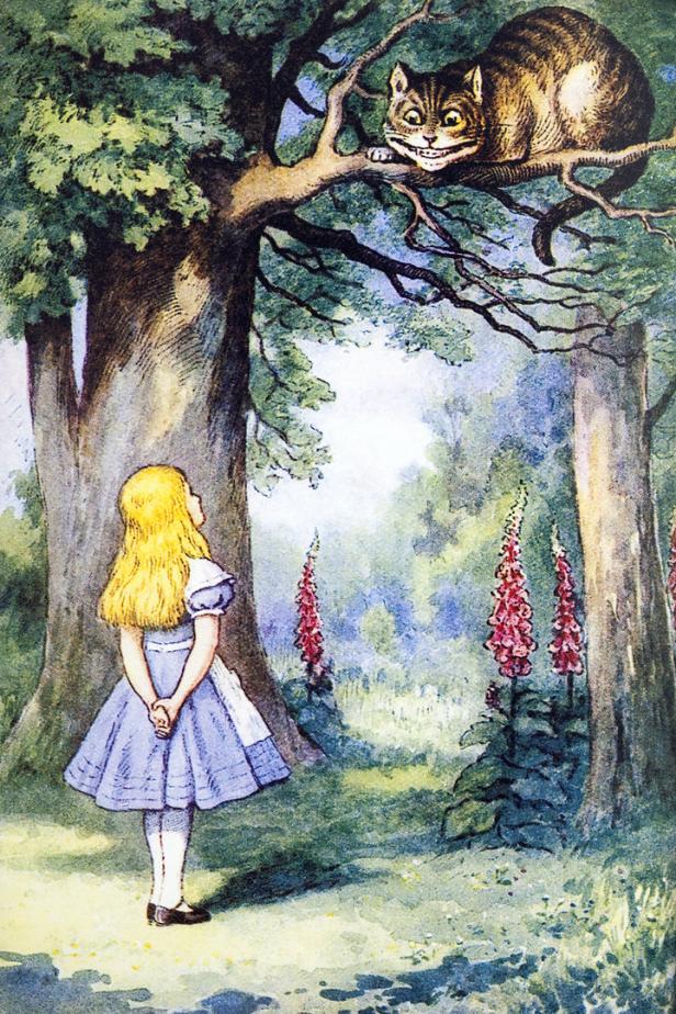 Alice blickt zu der Grinsekatze auf, die auf einem Baum sitzt.