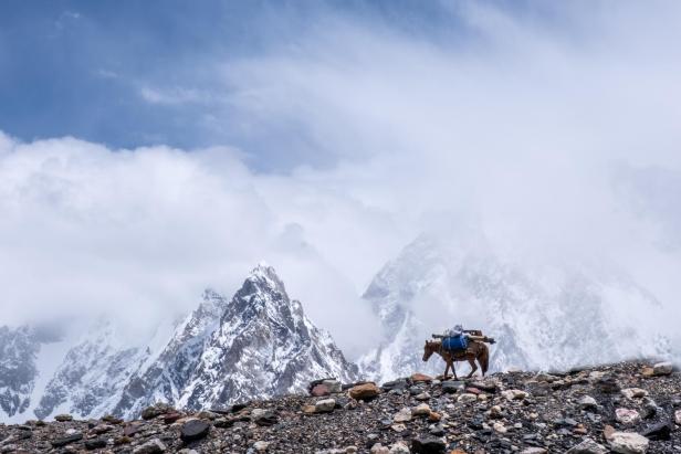Ein Packpferd steht vor einer verschneiten Berglandschaft.