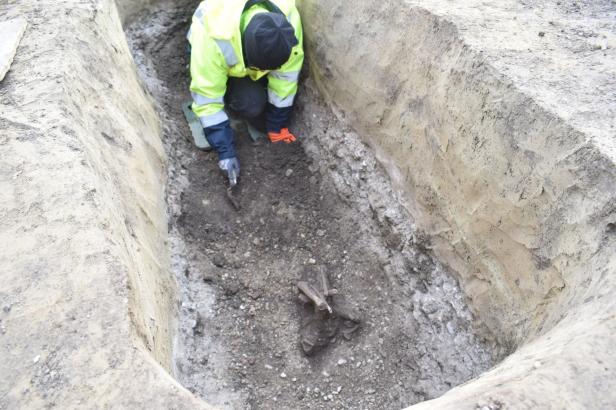 Archäologische Funde in Stockerau: Bruchstücke der Vergangenheit