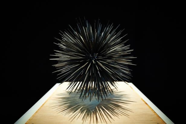 Eine stachelige, kugelförmige Skulptur steht auf einem Holzsockel.