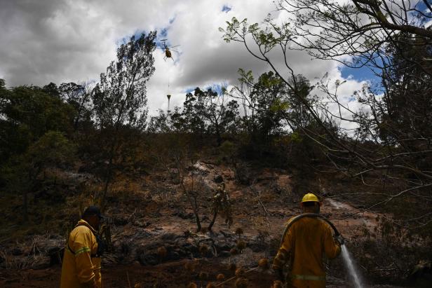 Chef von Mauis Katastrophenbehörde nach Waldbränden zurückgetreten 