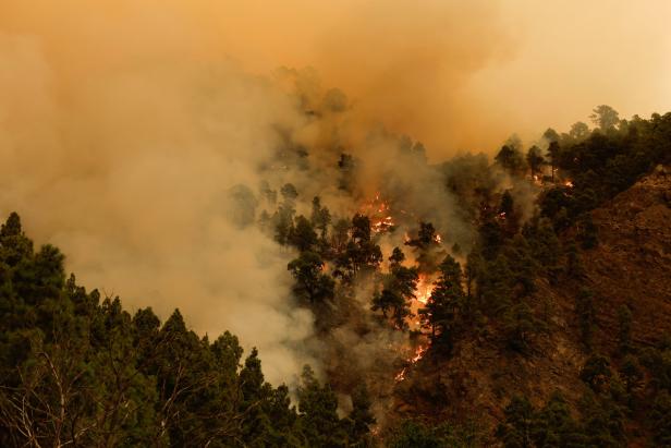 Schon fast 3.300 Hektar durch Waldbrand auf Teneriffa zerstört