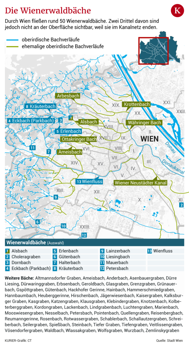 Hitzeinseln in der Stadt: Ein Bach fürs Museumsquartier