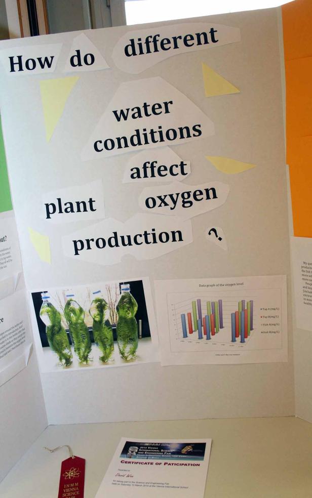 Eine Wissenschaftsausstellung untersucht, wie sich unterschiedliche Wasserbedingungen auf die Sauerstoffproduktion von Pflanzen auswirken.