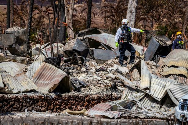 Brände auf Hawaii: Das "Wunder-Haus", das die Flammen in Lahaina überstand