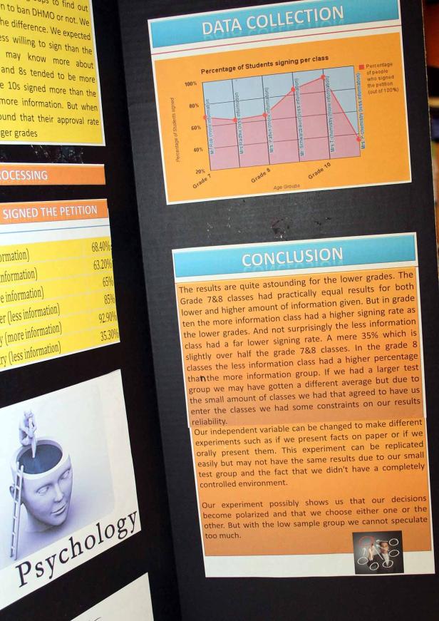 Eine Präsentation über eine psychologische Studie mit Diagrammen und Text.