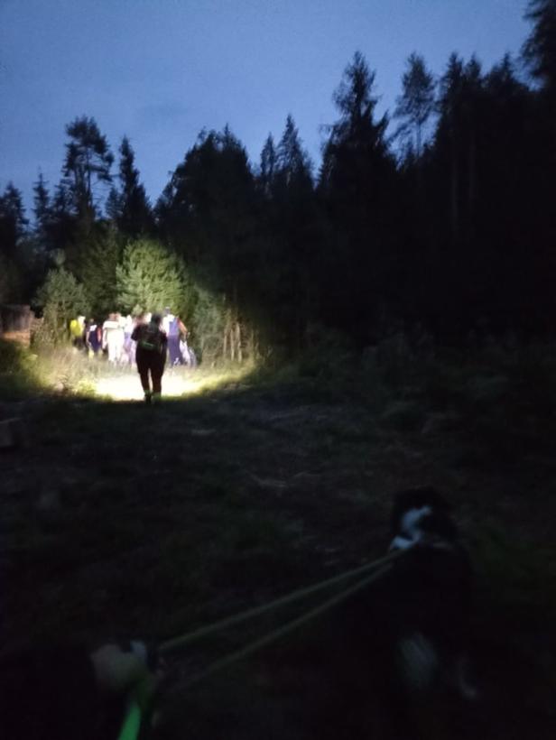 Erfolgreiche Suchaktion nach 85-Jährigem in Kärnten