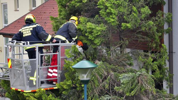 Zwei Feuerwehrleute von Wiener Neudorf schneiden einen Baum mit einer Kettensäge.