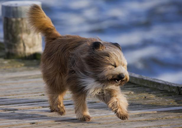 10 Fakten zu Wind und Sturm