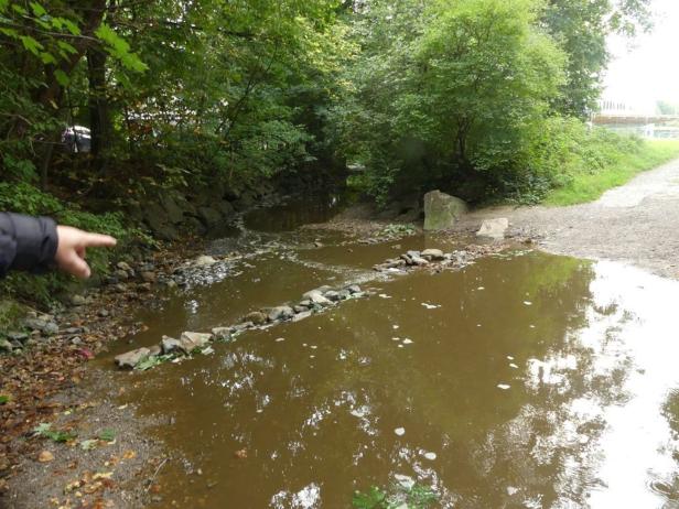 50.000 Liter Gülle ausgetreten: Fischsterben im Anzbach