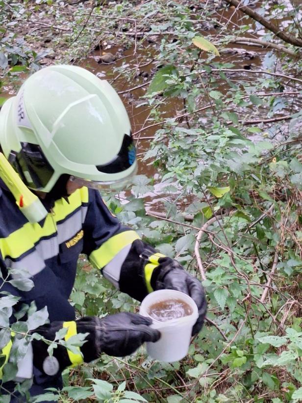 50.000 Liter Gülle ausgetreten: Fischsterben im Anzbach