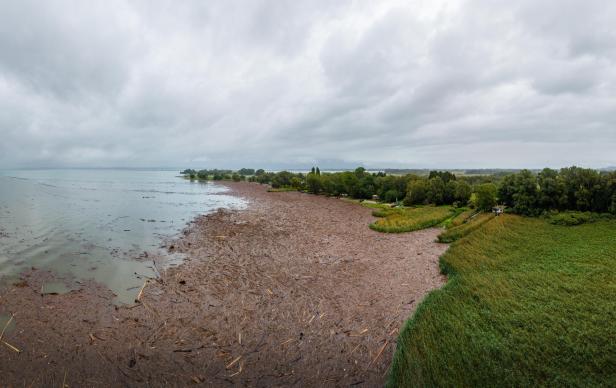 Muren und Hangrutschungen: Wie viel Anteil hat der Klimawandel?