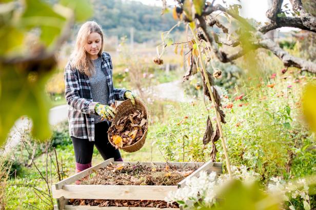 Mit grünem Daumen in den Herbst: Das empfiehlt der Experte