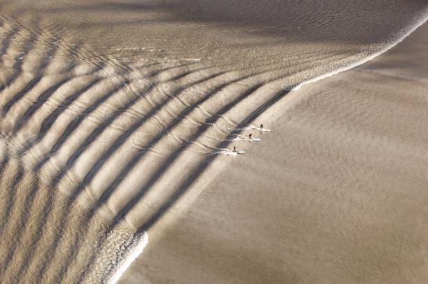 Draufsicht auf vier Personen, die auf dem Wasser an einem Sandstrand entlang paddeln.