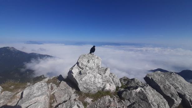 Warum der Faaker See auch im Herbst ein gutes Reiseziel ist