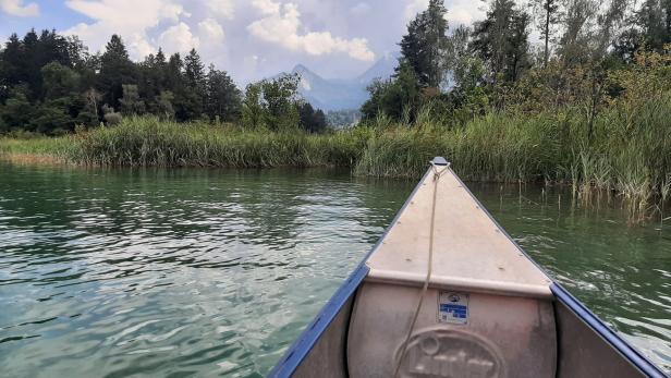 Schilfmäander: Mit SUP oder Kajak kann man den Wasserweg durch den Schilfgürtel befahren