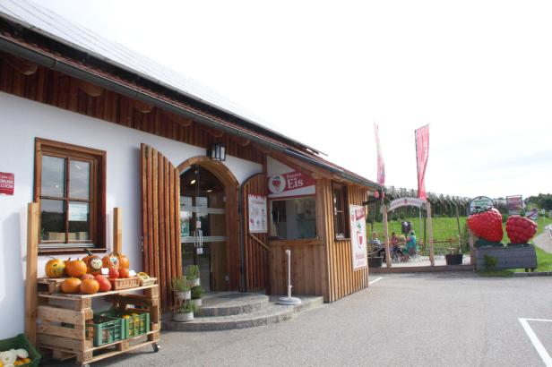 Zweiter Frühling für die Erdbeer-Ernte