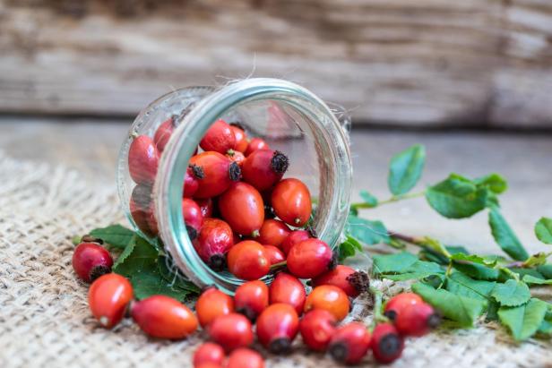 Die Hagebutte ist die Frucht verschiedener Rosenarten und fällt vor allem durch ihre kräftige rote Farbe auf. An Wegrändern finden sich häufig Hecken- oder Hundsrosen mit ihren süß duftenden, weißen oder zartrosa Blüten. „Hag“ aus Hagebutte kommt übrigens aus dem Mittelhochdeutschen und bezeichnet ein umhegtes (umzäuntes) Gebiet. Die buschigen Hagebutten mit ihren feinen Dornen waren und sind ein beliebter, natürlicher „Zaun“. Dornröschen oder andere Märchenschönheiten waren in einer undurchdringbaren Dorne