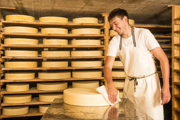 dairyman producing cheese on alpine dairy