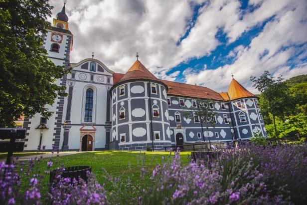 Das Schloss Ptuj mit seinem markanten Turm und Lavendel im Vordergrund.