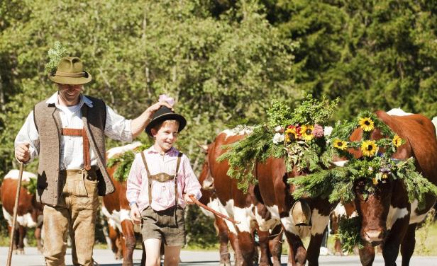 Almabtrieb: Von geschmücktem Vieh, das talwärts zieht