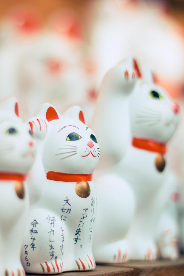 Mehrere weiße Maneki Neko Glückskatzen stehen auf einem Tisch.