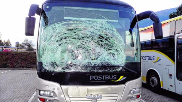 Hirsch krachte durch Scheibe von Linienbus