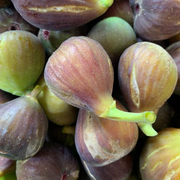 Feigen aus dem Garten