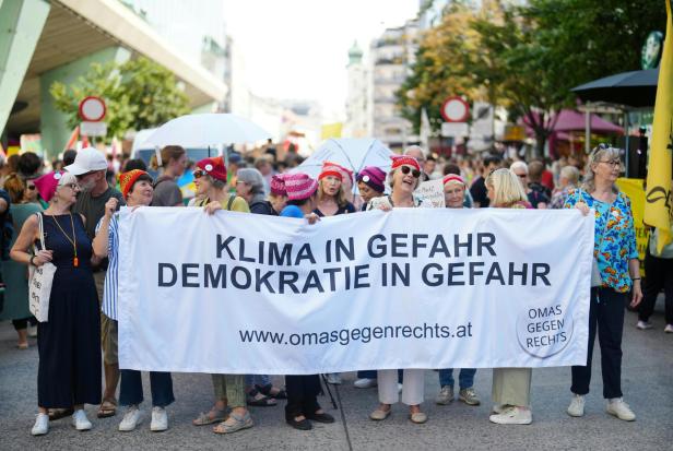 Klimastreik in Wien: Tausende Menschen protestierten