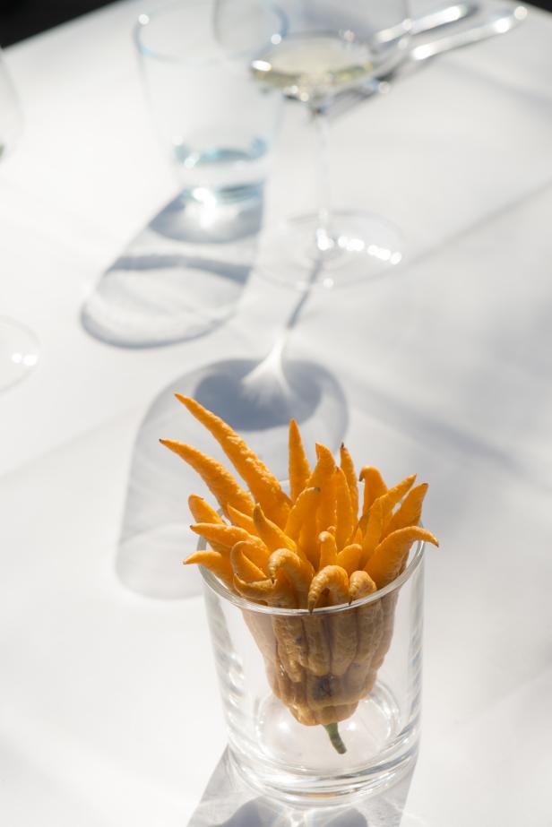 Eine Buddha-Hand-Zitrone in einem Glas auf einem weißen Tisch.