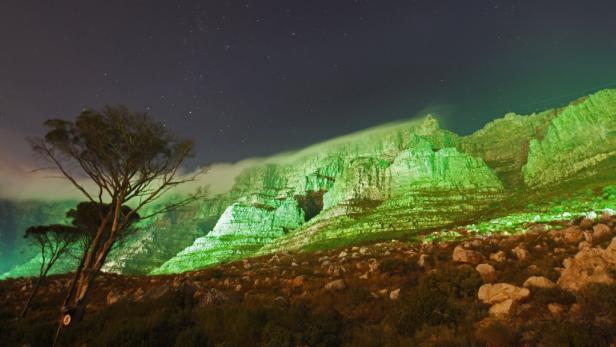 St. Patrick's Day: Wien feiert in grün