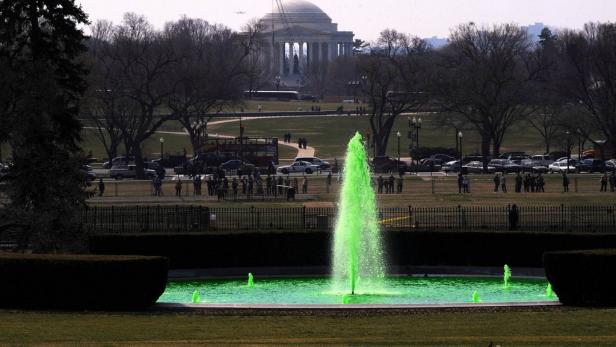 St. Patrick's Day: Wien feiert in grün