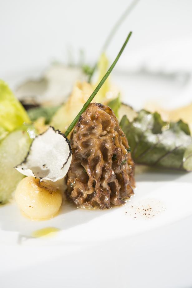 Ein Teller mit einer Morchel, Trüffel und einer gelben Beilage.