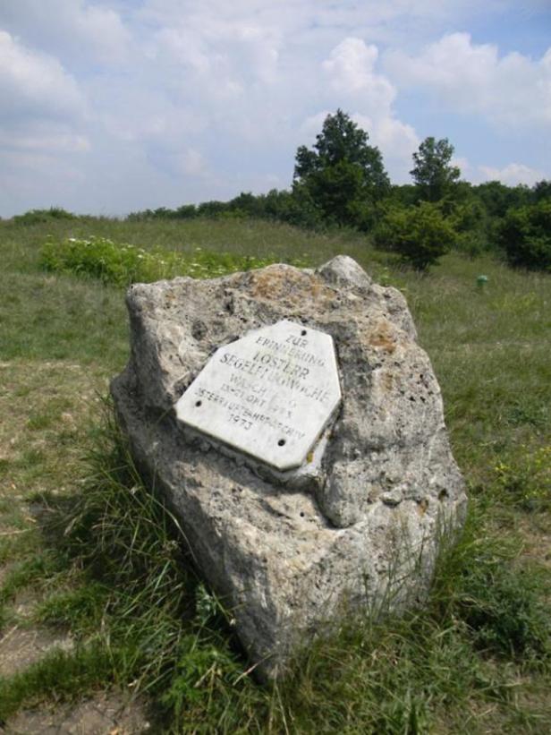 100 Jahre Segelflugwoche: Als das Weinviertel im internationalen Rampenlicht stand