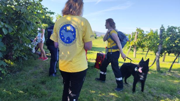 Team fand mit Rettungshund vermisste Frau im Bezirk Krems