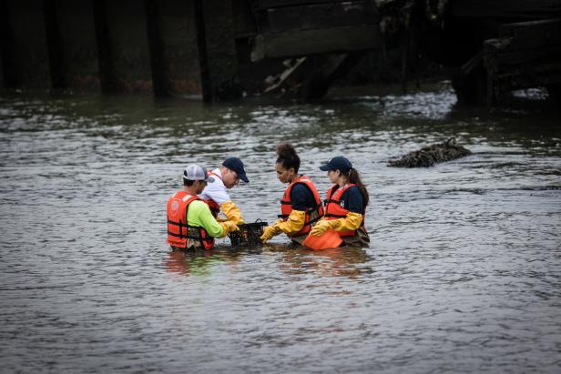 Der Prinz in New York: Warum William durch den East River watete