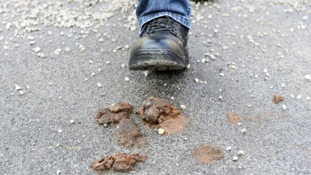 Ein Stiefel steht kurz davor, in einen Hundehaufen zu treten.